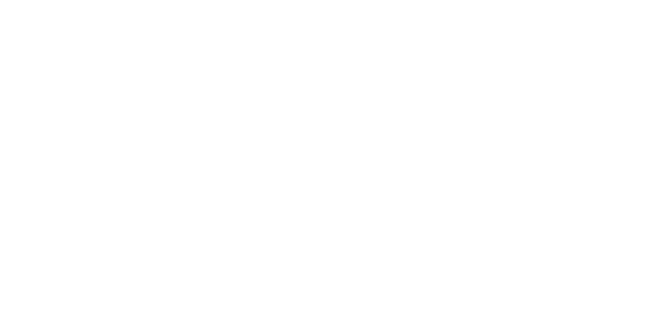 Central Vans